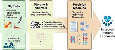 Editorial: Systems and network approaches to precision medicine and healthcare